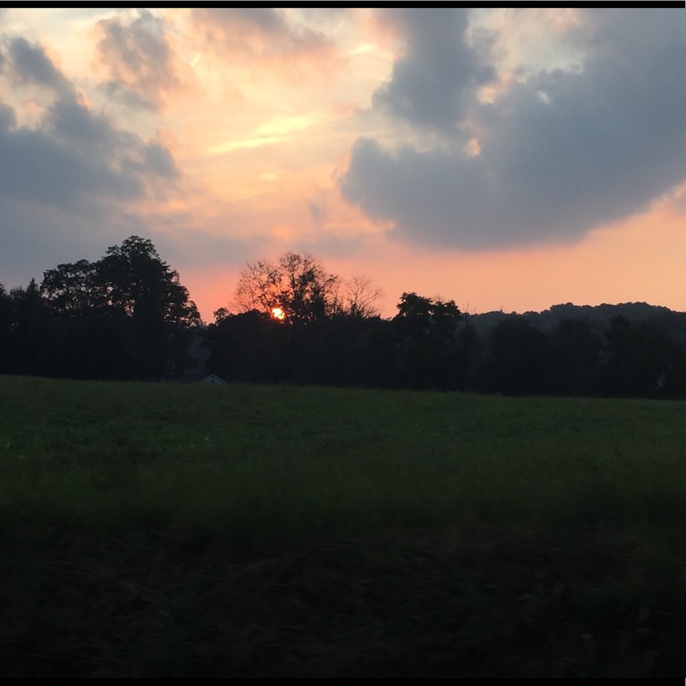 Meet your Posher, Stacey